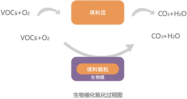 核心技术